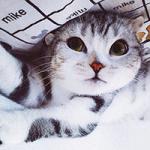 Фотография hey1sR