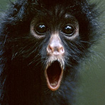 Фотография uniq